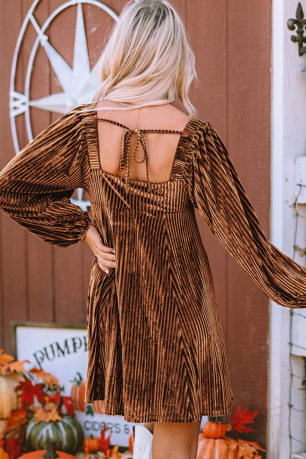 Noelle Velvet Babydoll Dress