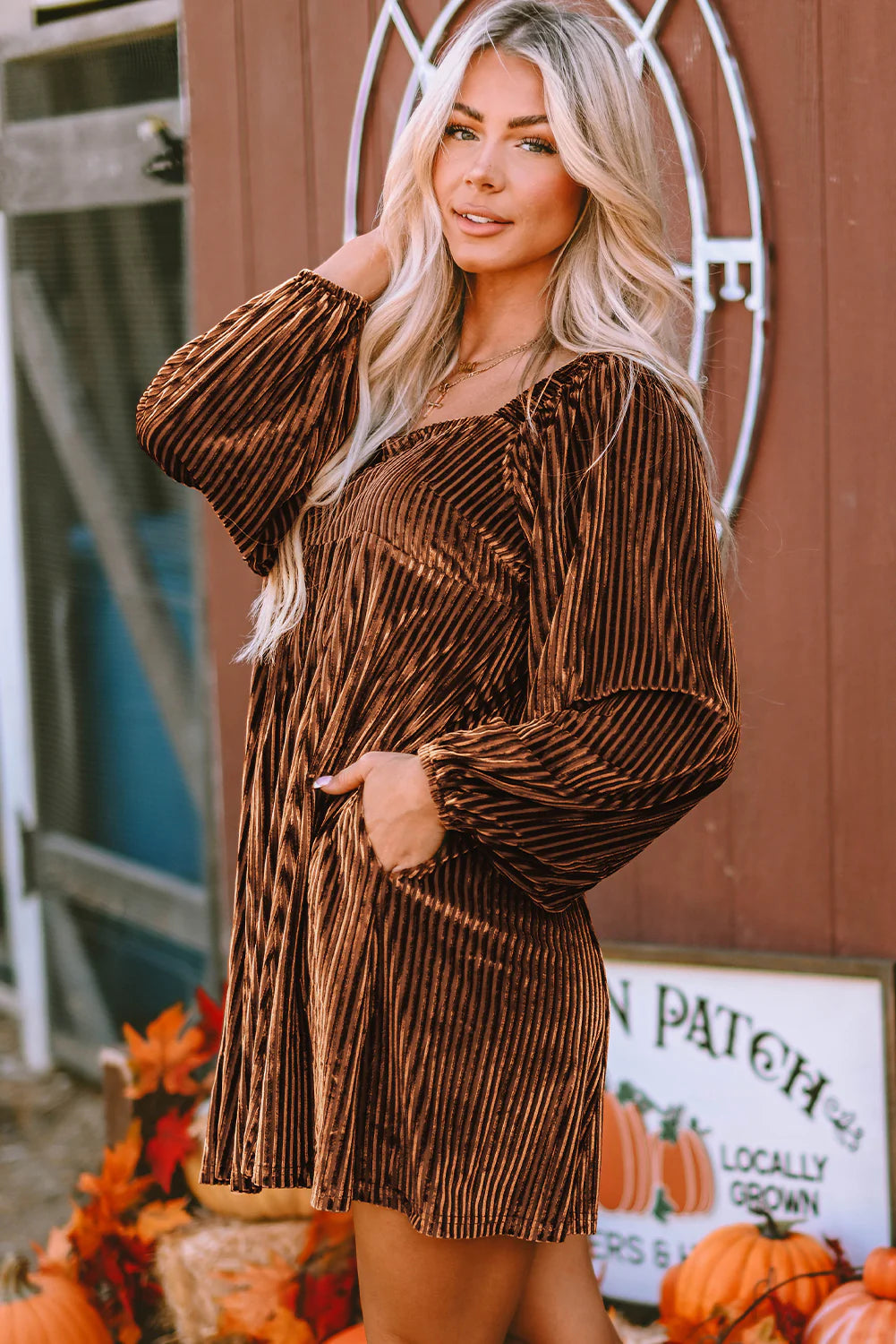Noelle Velvet Babydoll Dress